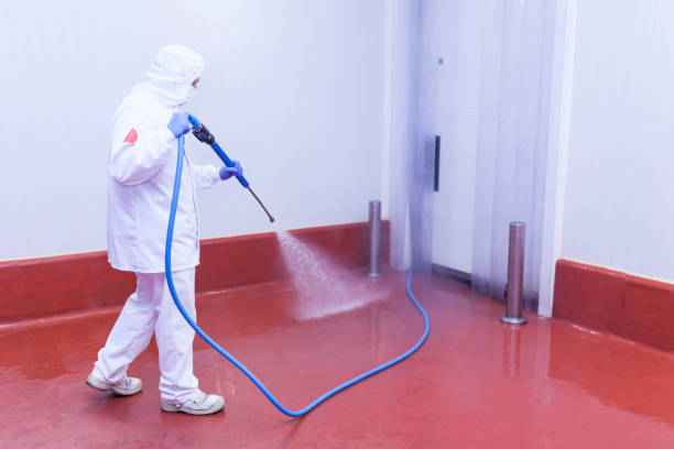 Best Post-Construction Pressure Washing  in Tonopah, NV